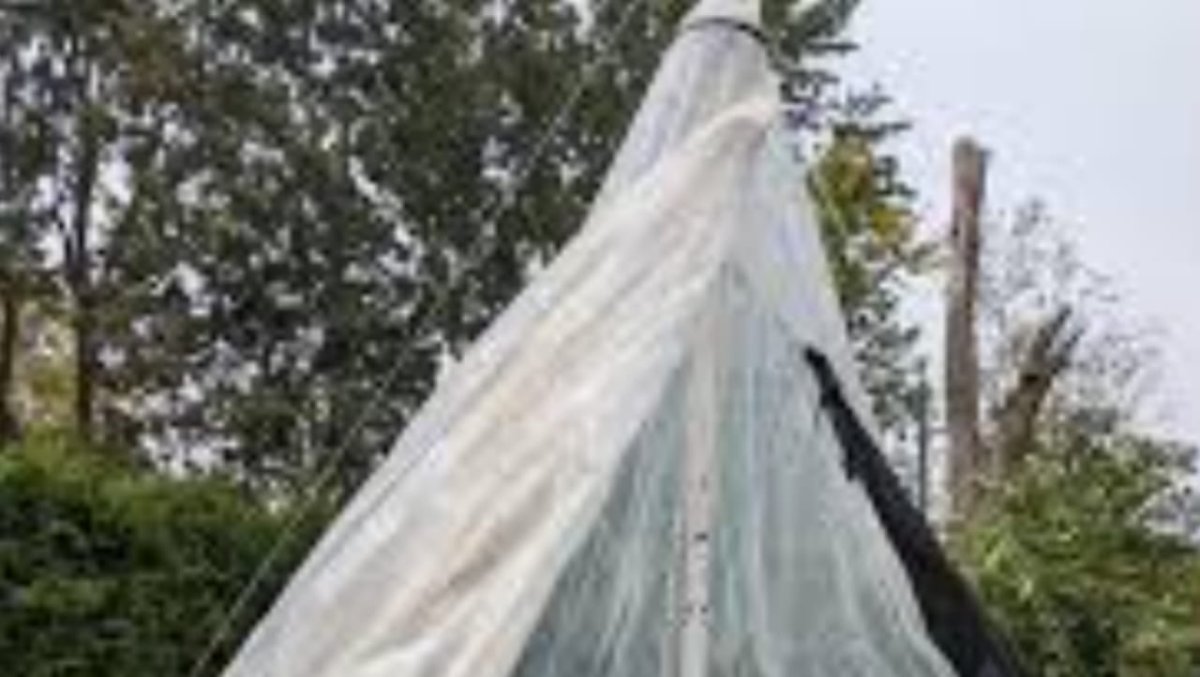 Rutshuru : l’utilisation des moustiquaires comme cordes pour la construction des maisons inquiète les acteurs communautaires
