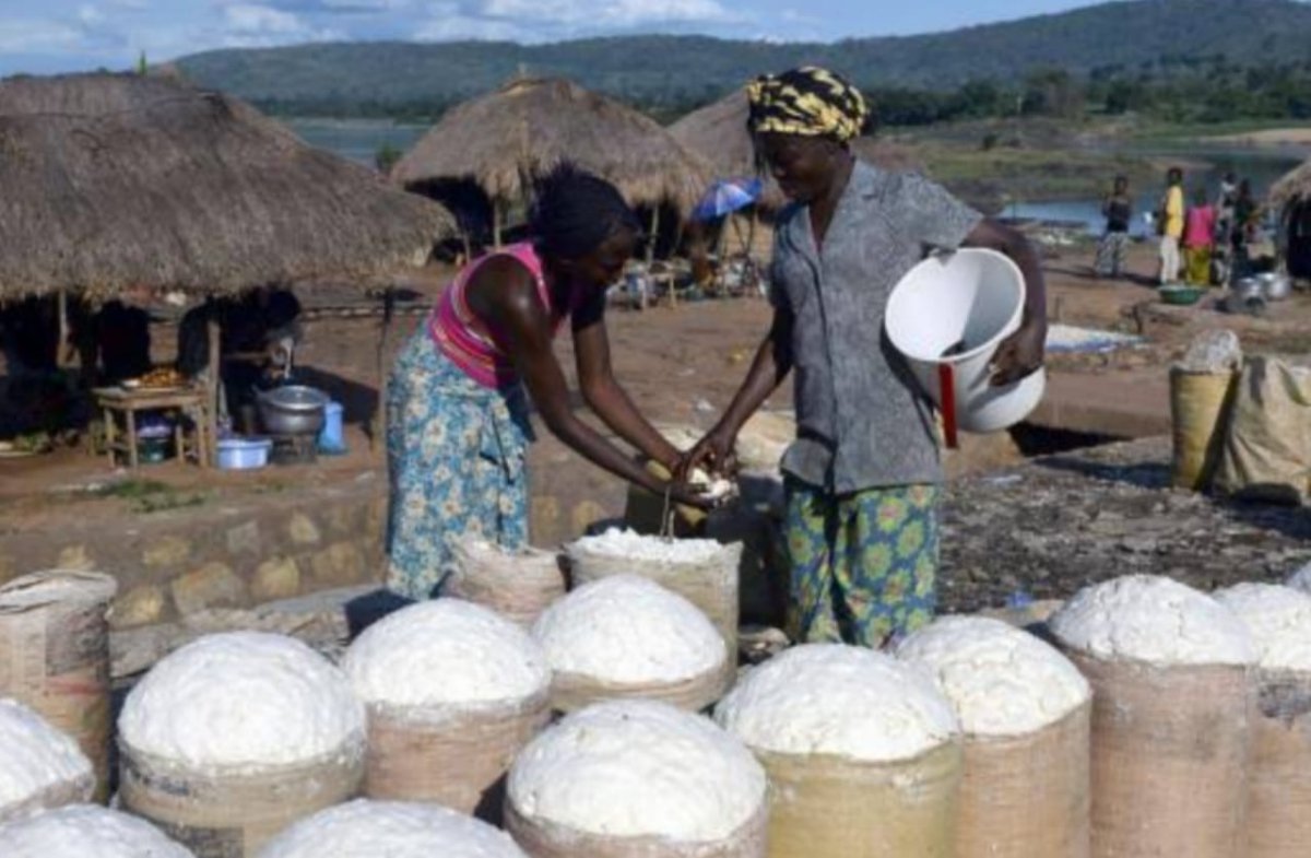 Sud-kivu : l'alcool à base de farine du manioc et du maïs plonge plusieurs ménages dans la faim, à Idjwi