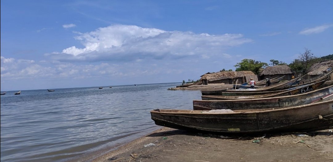 Kyavinyonge : des pêcheurs mobilisés pour retrouver leur collègue happé par un crocodile (situation de 13 heures)