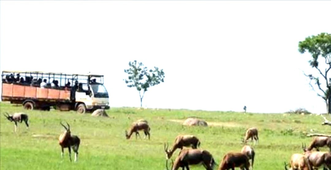Beni-territoire : la RN4 et le parc national des Virunga pointés comme couloirs d’infiltration des ADF (Sociv)