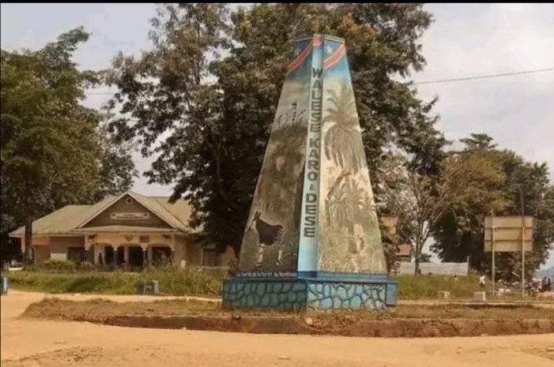 Mambasa : un défenseur des droits humains alerte sur la prolifération des groupes armés à Bakaheku, frein à la traque des ADF