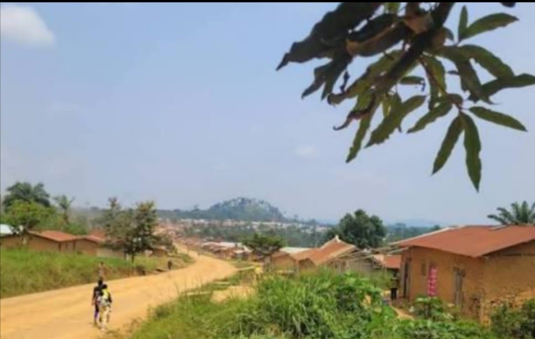 Mambasa : encore deux civils tués dans une embuscade attribuée aux djihadistes Adf